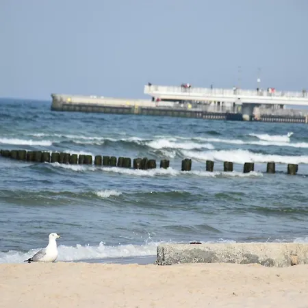 Apartment Balticum - Blizej Morza Z Garazem