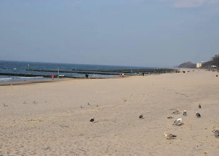 Balticum - Blizej Morza Z Garazem * Kolobrzeg