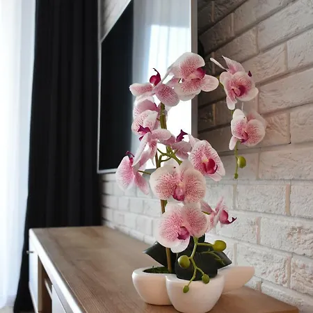 Balticum - Blizej Morza Z Garazem アパート コウォブジェク