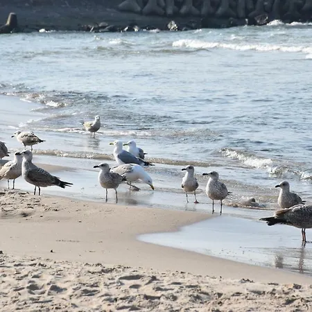 Appartement Balticum - Blizej Morza Z Garazem