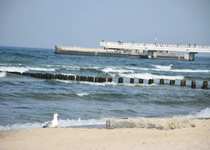 Appartement Balticum - Blizej Morza Z Garazem