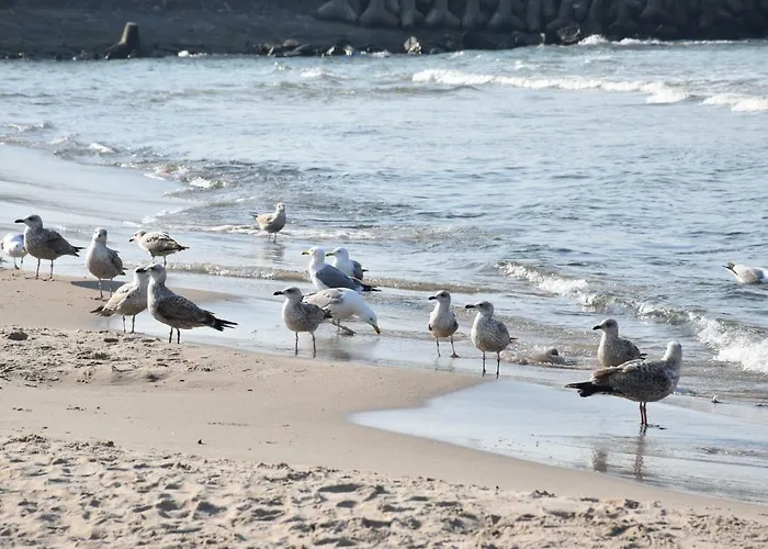 Apartamento Balticum - Blizej Morza Z Garazem